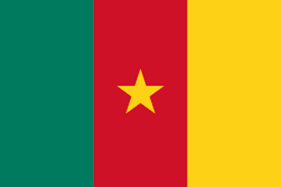 Flexibla tankar Kamerun