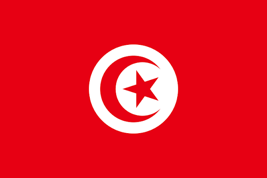 Flexibla tankar tunisien